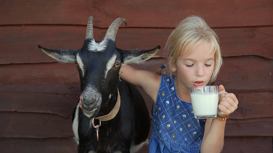 milk-protein-allergy